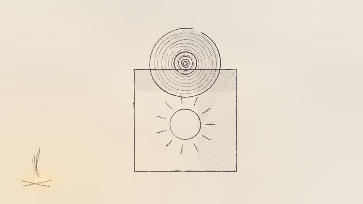 picture-sleeve